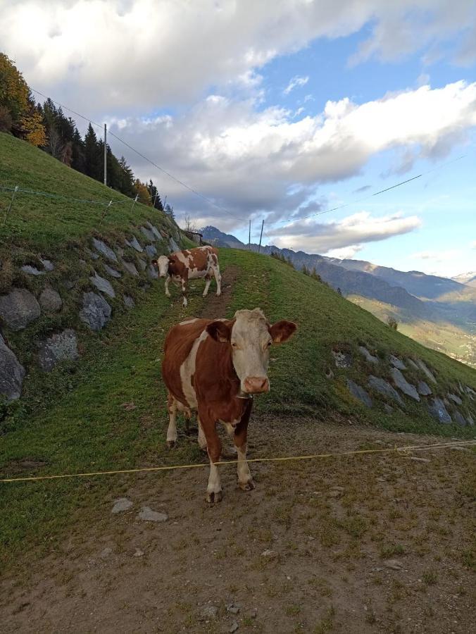 Ortnerhof Apartment Ahrntal Luaran gambar