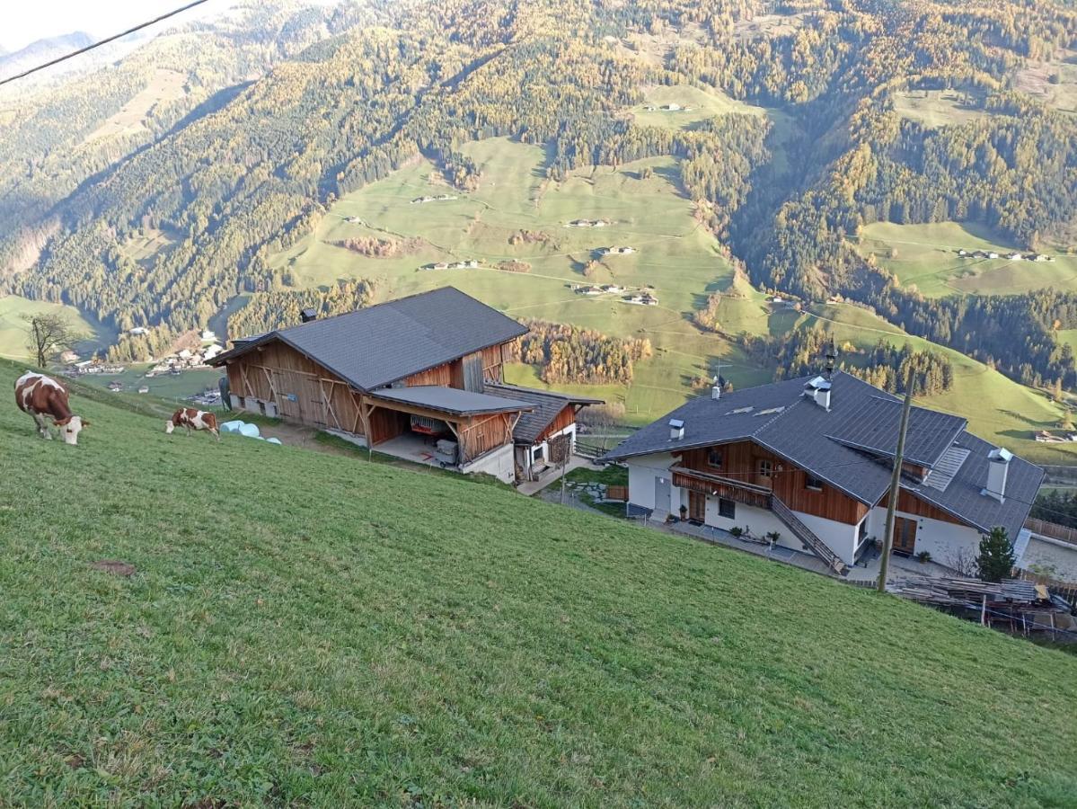 Ortnerhof Apartment Ahrntal Luaran gambar